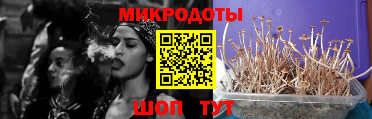 Псилоцибиновые грибы Psilocybine cubensis  Вход с VPN  Комсомольск-на-Амуре 